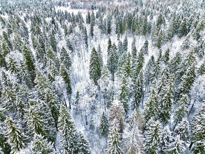 Участок 6 сот. (ИЖС)