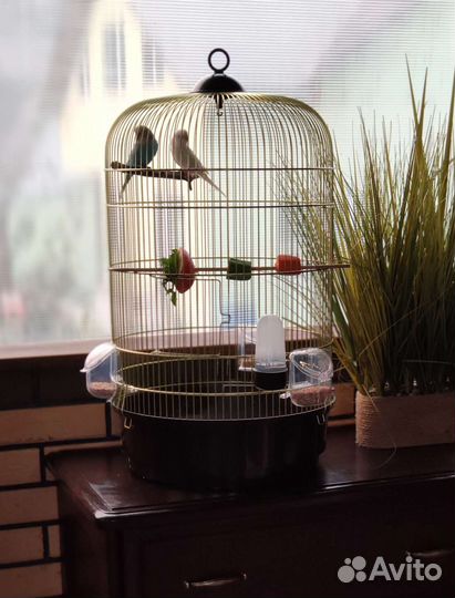 Клетка для волнистого попугая