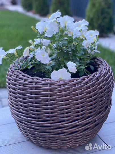 Кашпо для дома и сада