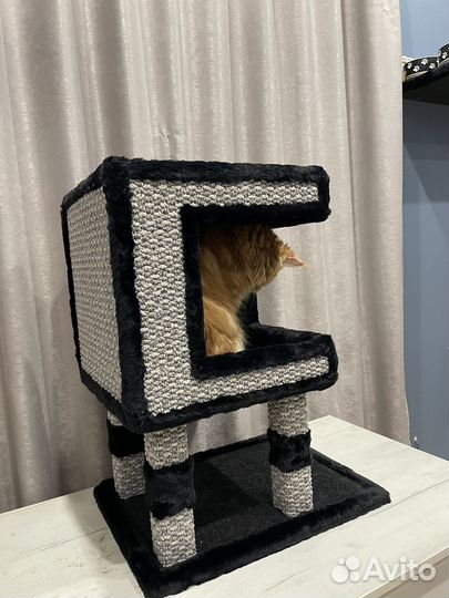 Для кошки для кота уютный дом комплекс