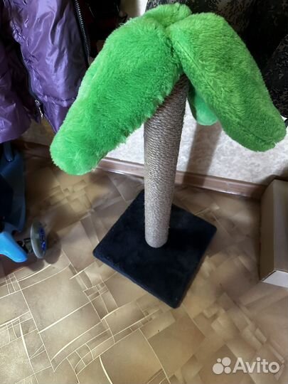 Когтеточка