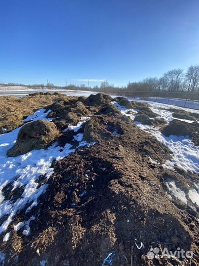 Навоз, компост бесплатно