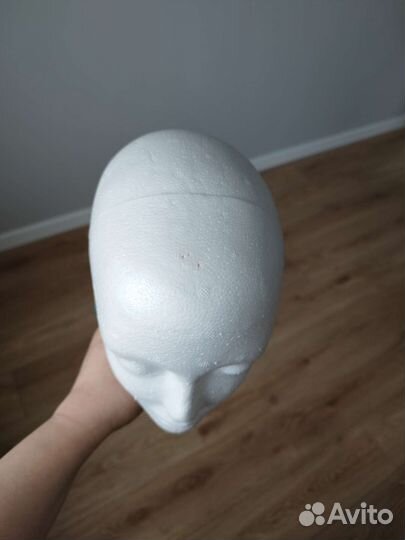 Бюст анатомическая голова
