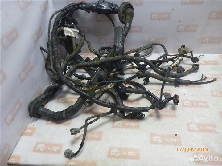 Проводка моторного отсека Infiniti Fx37 S51