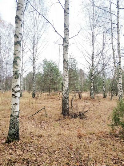 Участок 1,02 га (СНТ, ДНП)