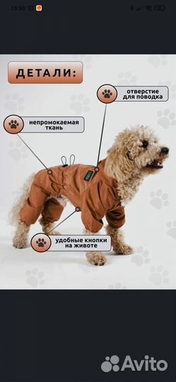 Дождевик для собак