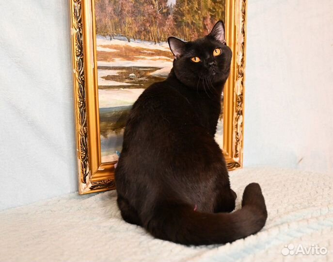 Черные мальчики и девочки