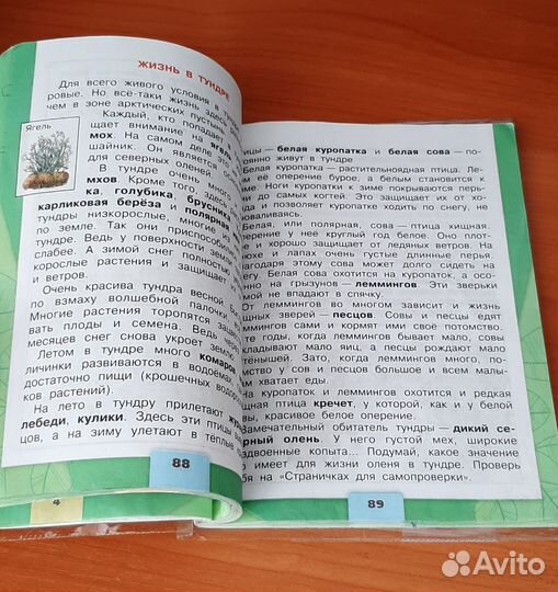 Учебник окружающий мир 4 класс 1 часть