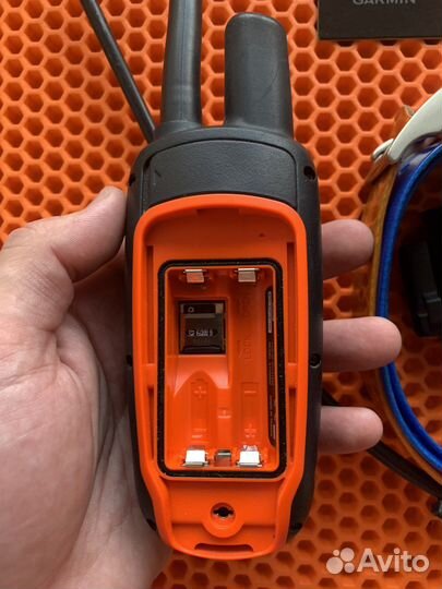 Навигатор Garmin Astro 320 с ошейником DC 40 (USA)