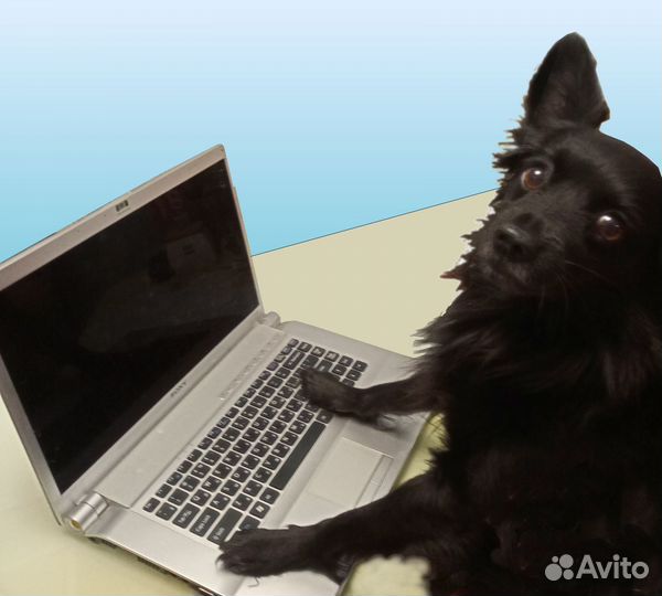 Наборщик текста