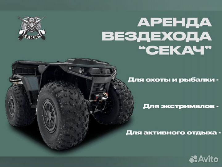 Болотоход-вездеход 