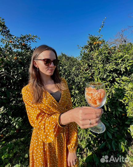 Эскурсии Абхазия, Сочи, Красная Поляна. Трансфер