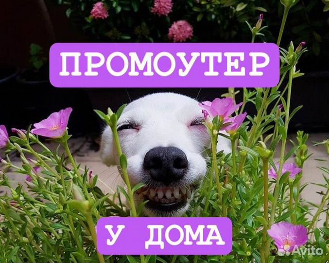 Промоутер у дома