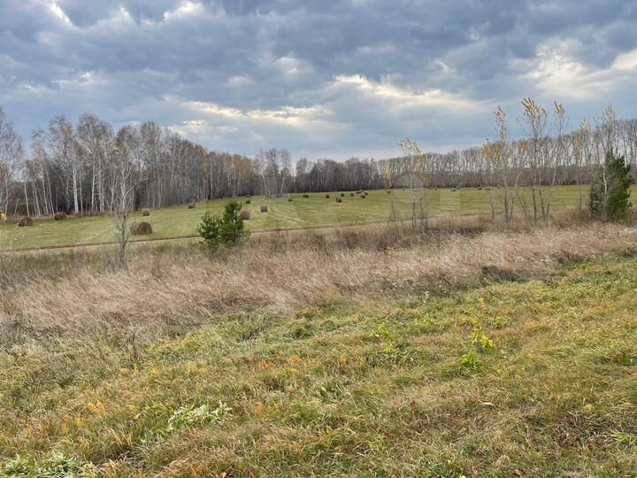 Участок 2,9 га (СНТ, ДНП)