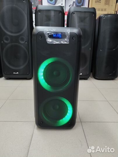 Колонка Eltronic 20-25