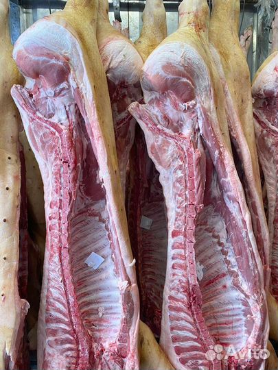 Мясо свинина с доставкой