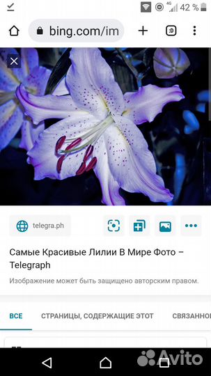 Тортовницы Разные