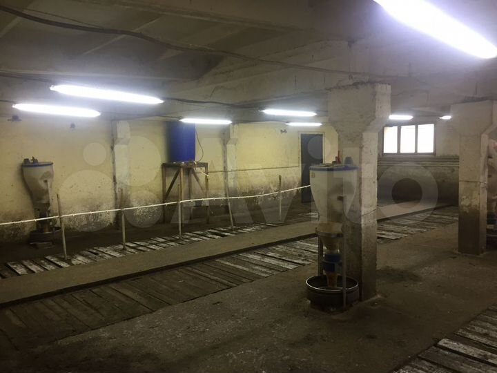 Участок 1,23 га (СНТ, ДНП)