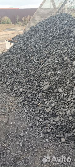 Каменный уголь Орех