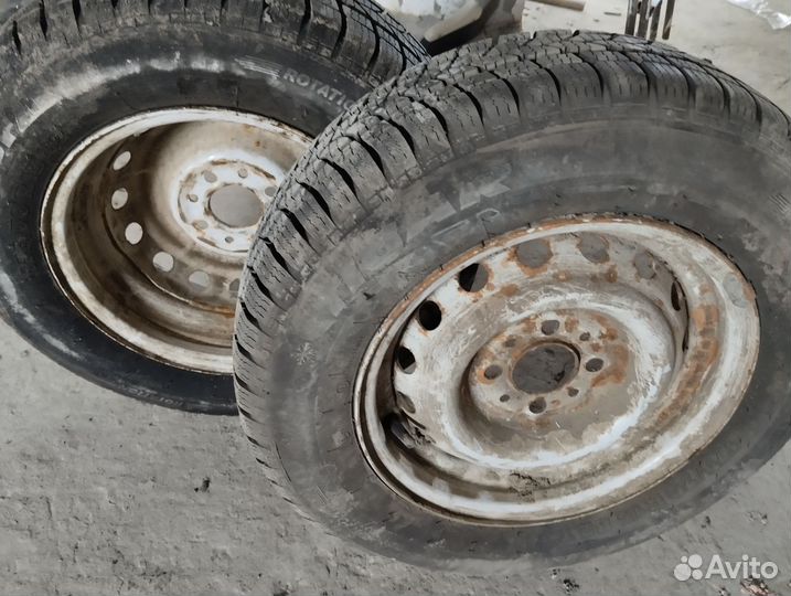 Tigar Winter 175/70 R13