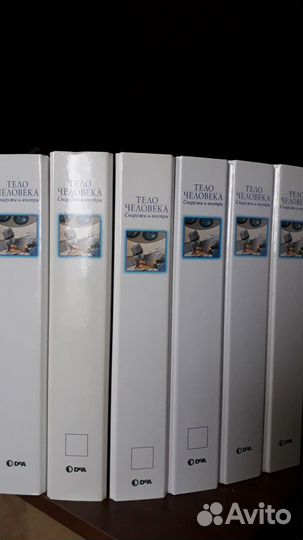 Тело человека Снаружи и внутри