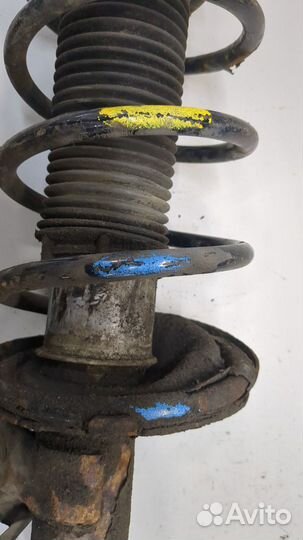 Амортизатор подвески Ford Focus 2, 2007