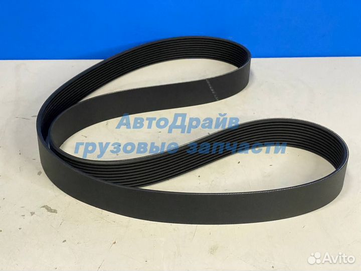 Ремень поликлиновой грузовиков Ман 10x1570