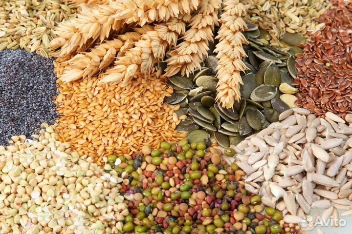 Корм для домашних и сх животных и птиц