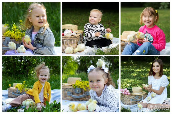 Семейная фотосессия. Студийная / уличная