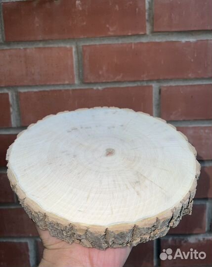 Торцевые спилы дерева