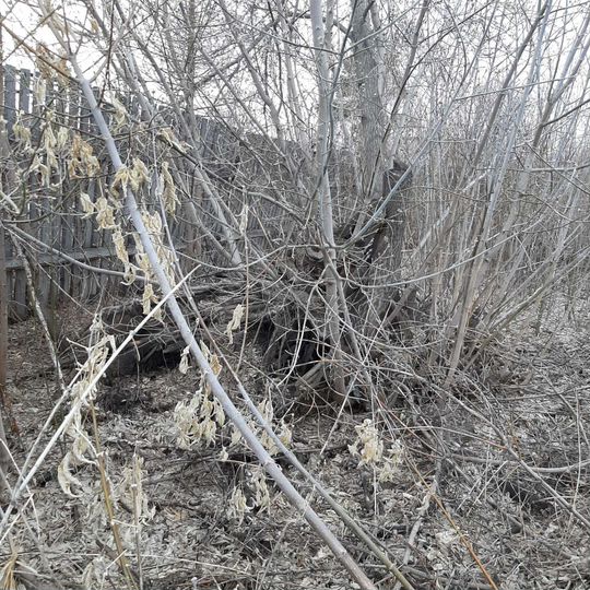 Участок 4,62 га (СНТ, ДНП)