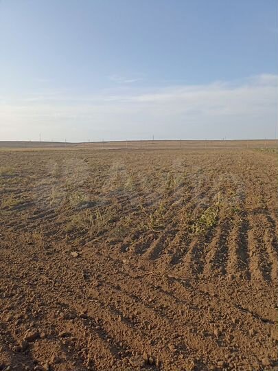 Участок 3,6 га (СНТ, ДНП)