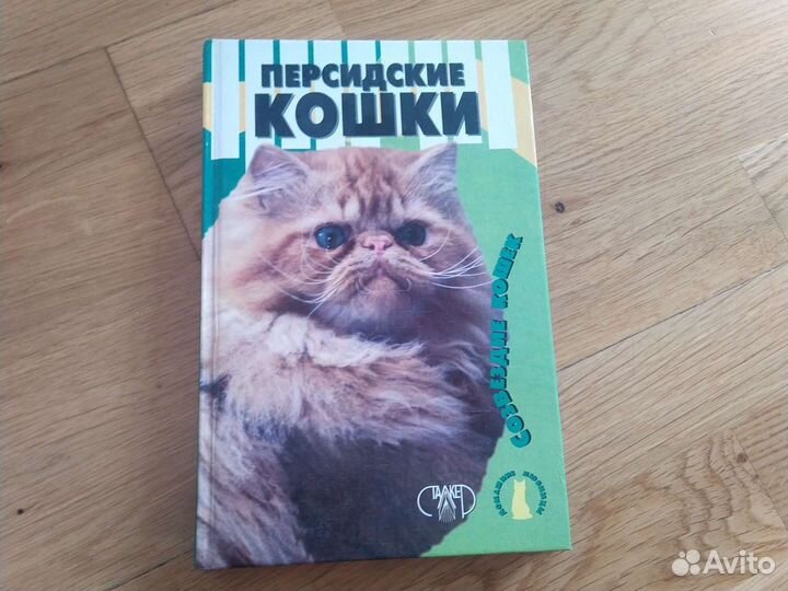 Персидские кошки 362 стр