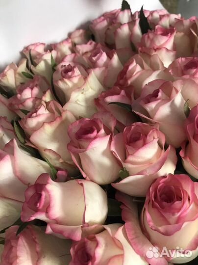 Цветы розы опт