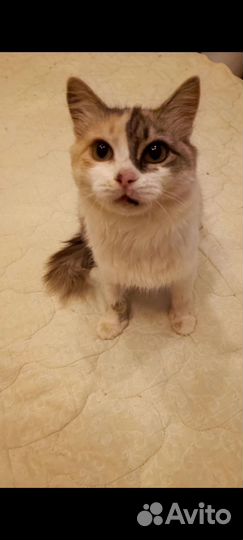 Матильда 9 мес