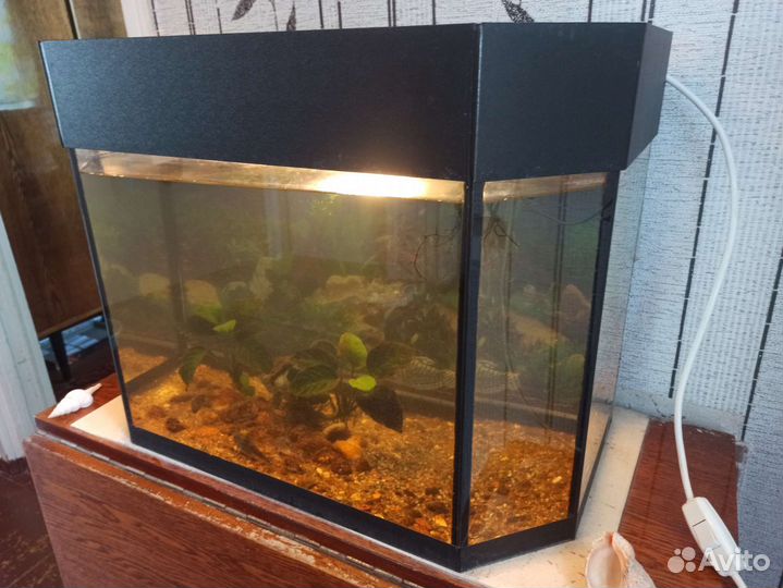 Аквариум 60 л. Комплект