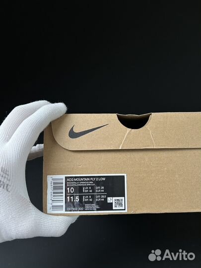 Кроссовки Nike ACG Mountain Fly 2 Low 'Bicoastal'