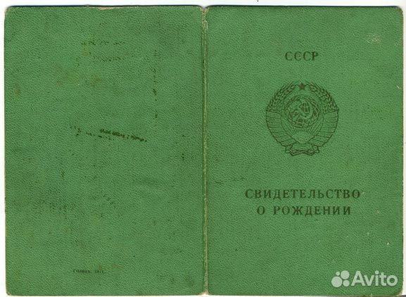 Пмж в Польше по корням