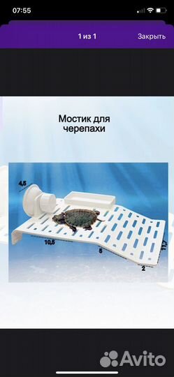 Мостик для черепахи