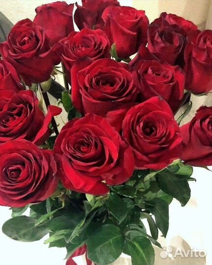 Букет роз. Красные розы. оптом. 101.51.45.35.25