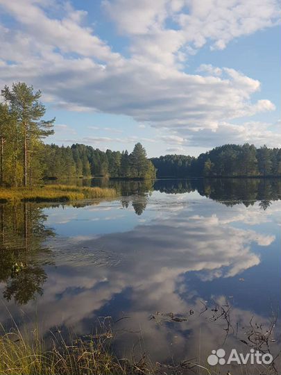 Экскурсии по Карелии. Индивидуальные туры