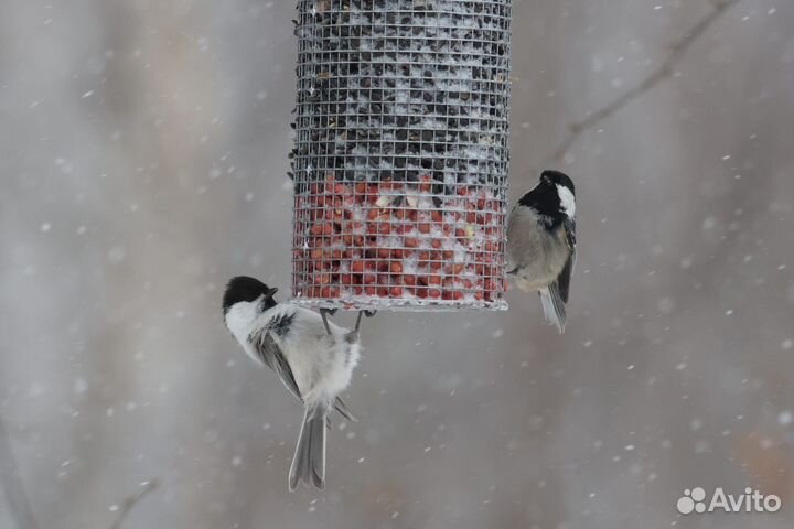 Кормушка для птиц сетчатая