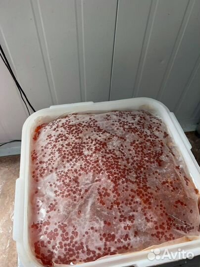 Икра Кеты опт