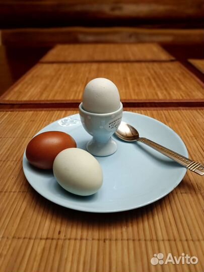 Цыплята ухейилюй