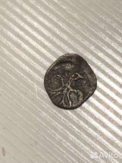 Чешуя ивана грозного