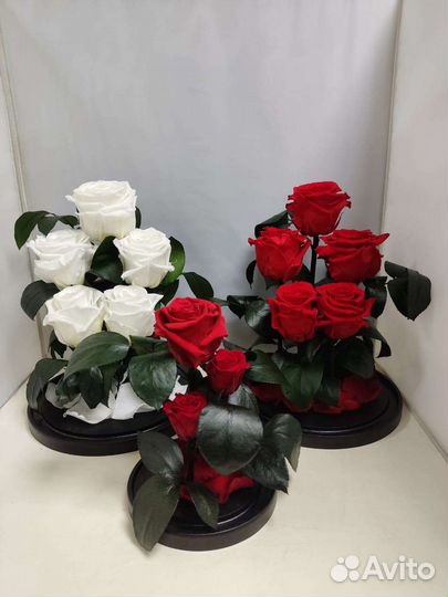 Подарок маме / Роза в колбе