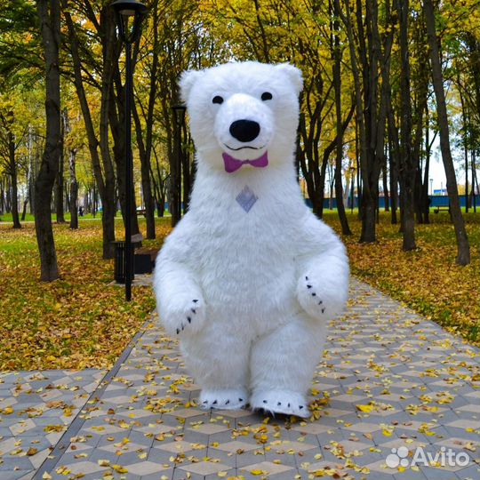 Белый мишка поздравление