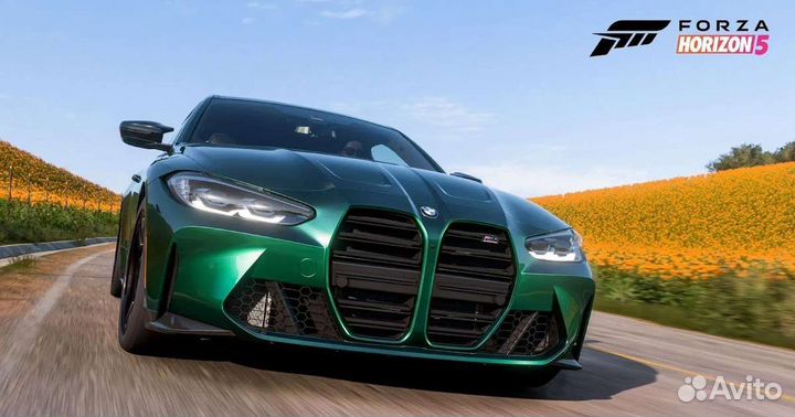 Forza Horizon 5 Premium Edition на PC (пк) (5)