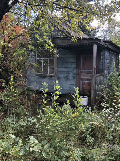 Дача 25 м² на участке 6 сот.