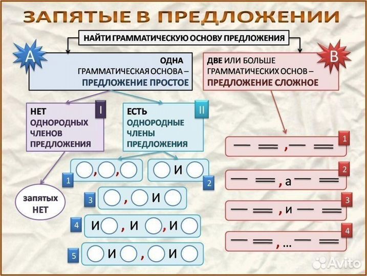 Репетитор по русскому языку для школьников